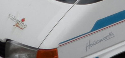 VW T4 Holdsworth Valentine Special Front Logos