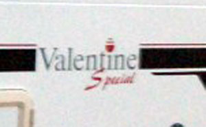 VW T4 Holdsworth Valentine Special side logo